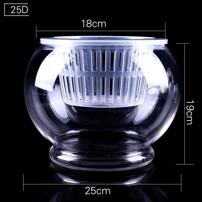 Hydroponic Plant Vase - Clear Round Glass for Soil-Free Indoor Gardening