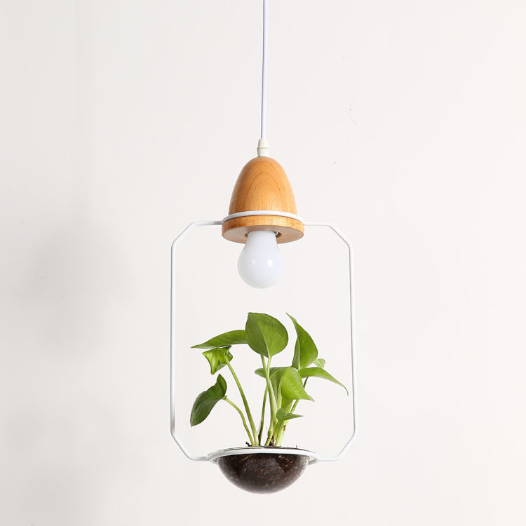 Teardrop Hanging Light Fixture with Integrated Planter - Black Frame, Wooden Accent