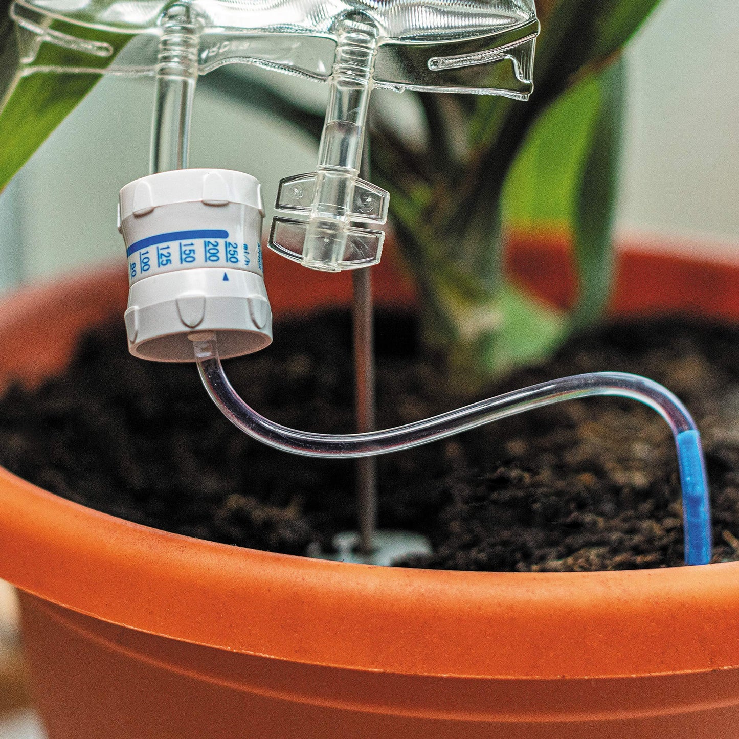 Automatic Plant Life Support Watering System - Eco-Friendly Indoor Plant Care