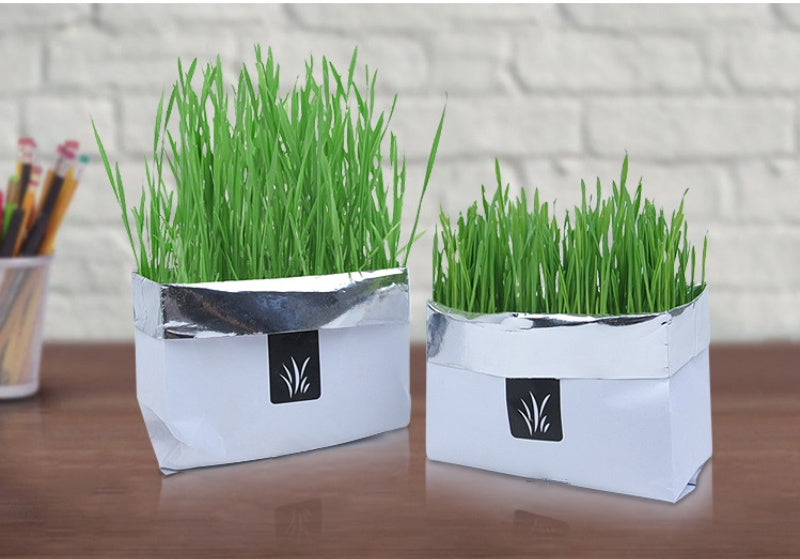 Eco-Friendly Indoor Plant Growing Kit - Biodegradable & Sustainable