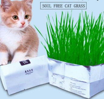 Eco-Friendly Indoor Plant Growing Kit - Biodegradable & Sustainable