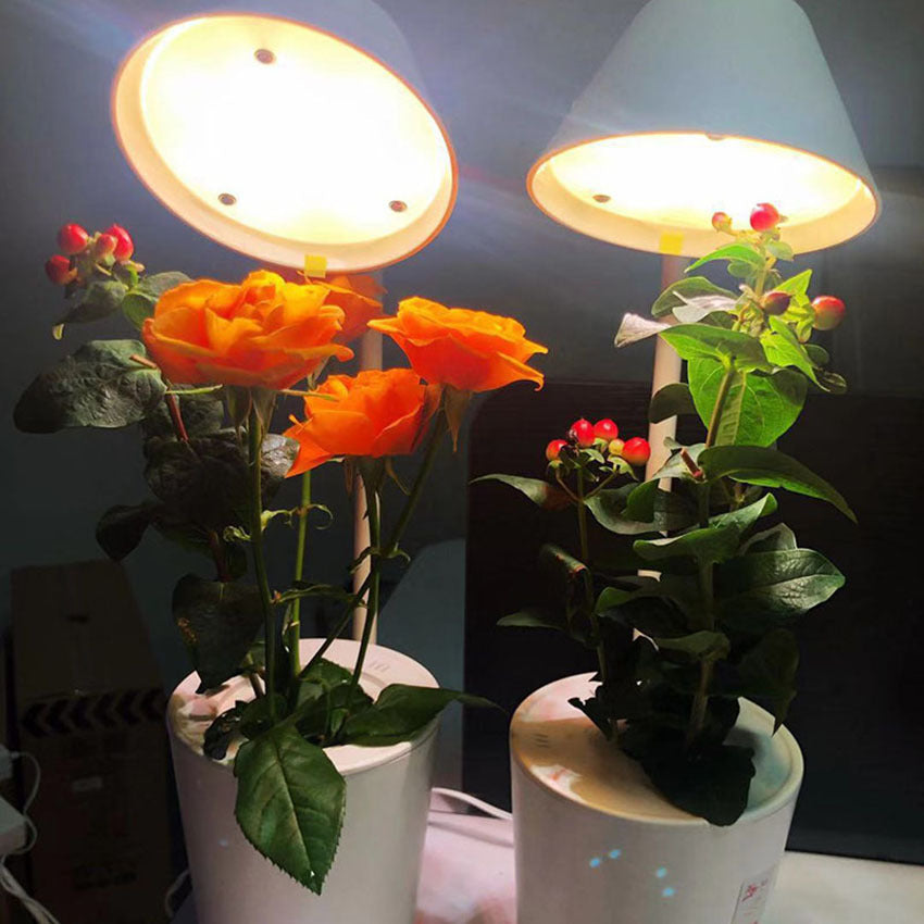 Adjustable LED Plant Light for Optimal Growth