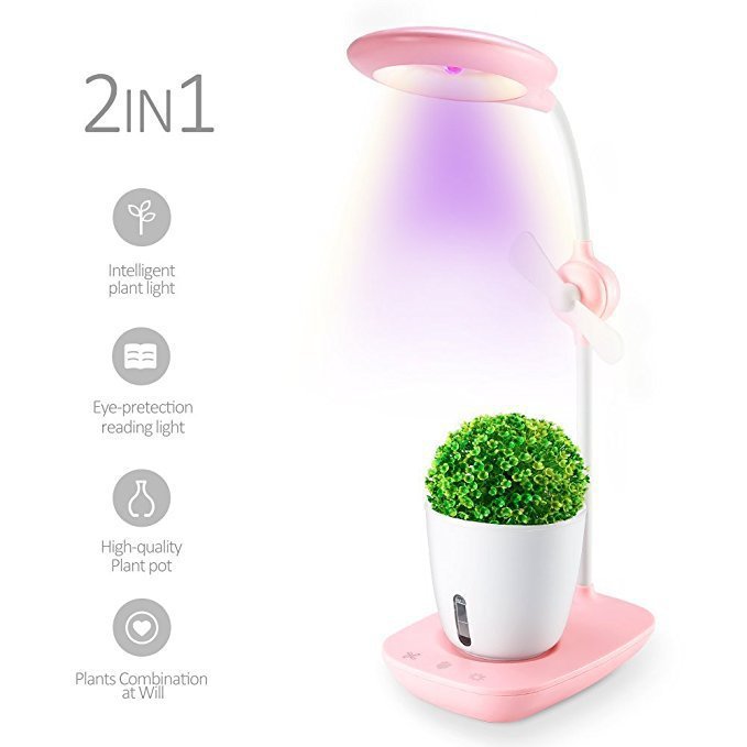 Desk Air Purifier with Integrated Plant - Natural Air Quality Enhancer