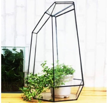Eco-Friendly Geometric Glass Terrarium for Stylish Home Decor
