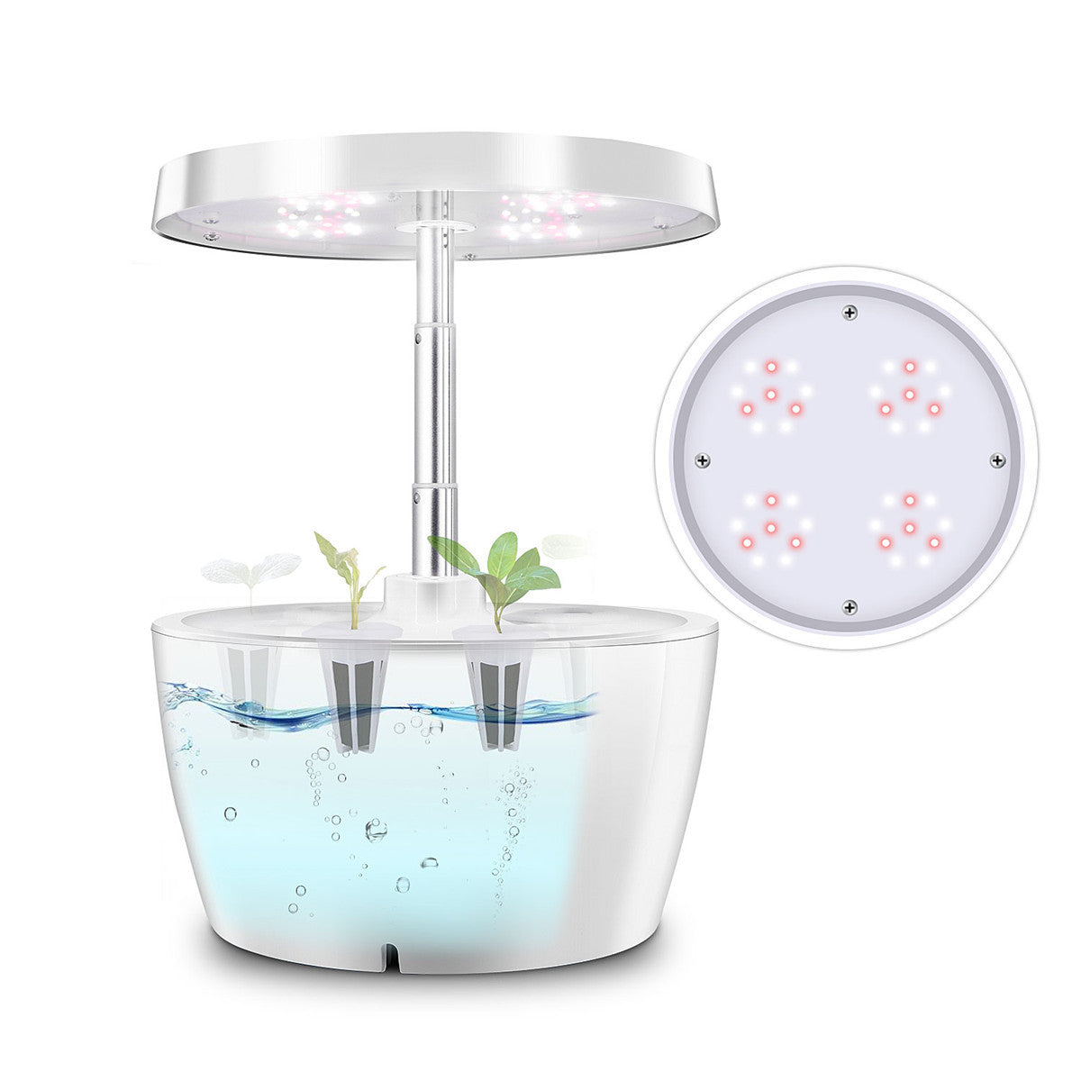 Compact Indoor Hydroponic Garden with LED Light for Year-Round Fresh Produce