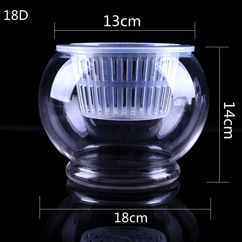 Hydroponic Plant Vase - Clear Round Glass for Soil-Free Indoor Gardening
