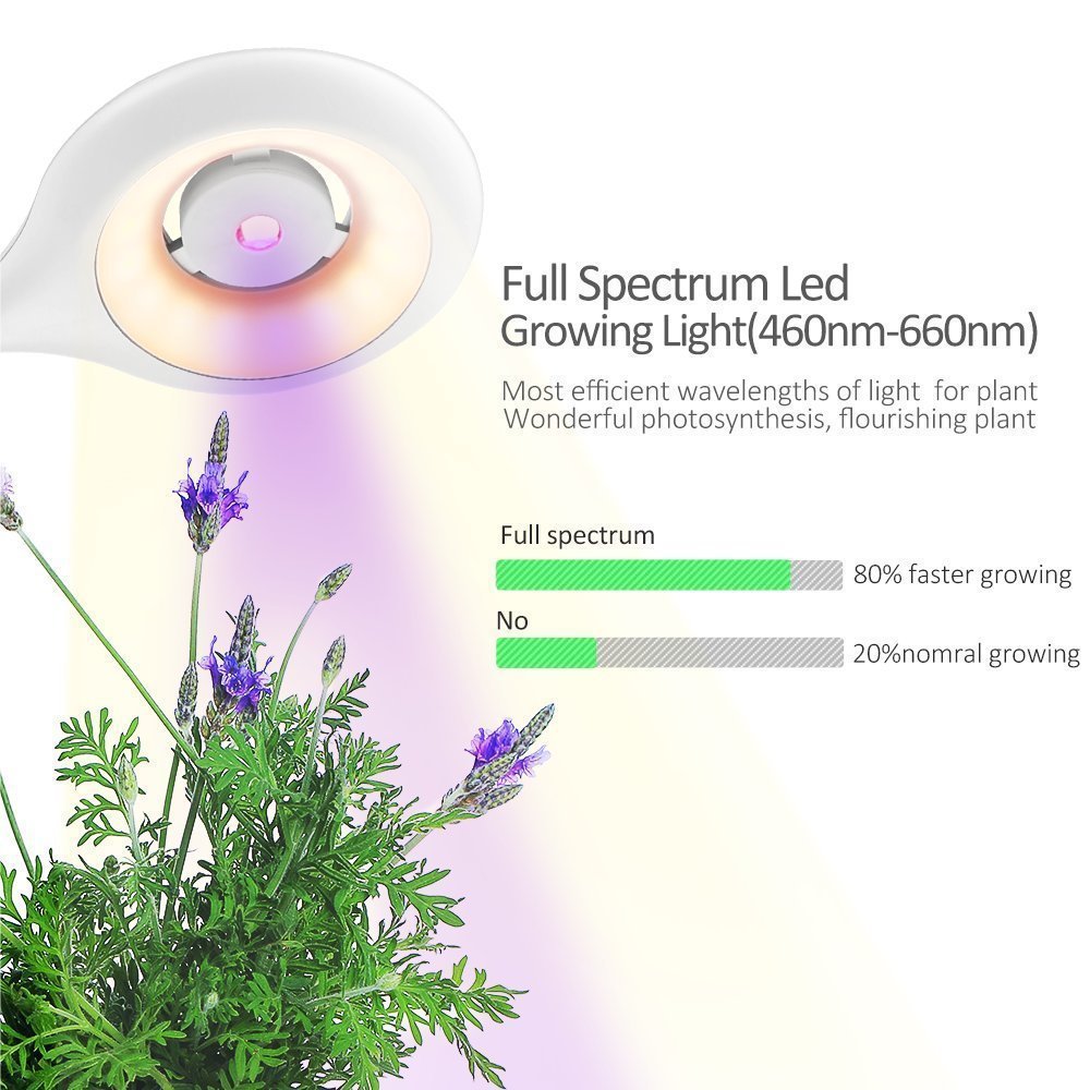 Desk Air Purifier with Integrated Plant - Natural Air Quality Enhancer
