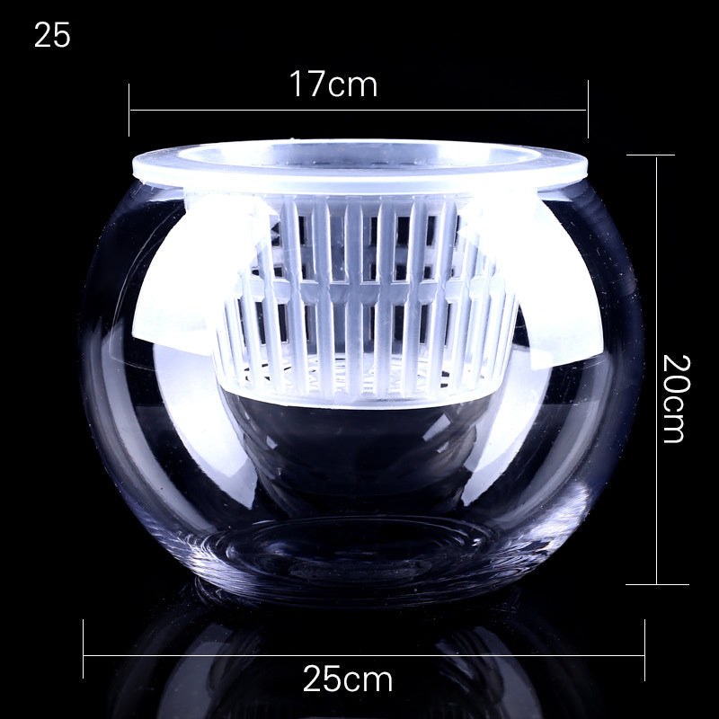 Hydroponic Plant Vase - Clear Round Glass for Soil-Free Indoor Gardening