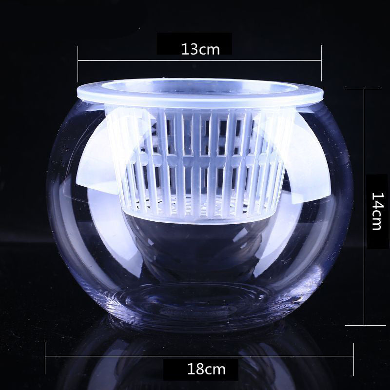 Hydroponic Plant Vase - Clear Round Glass for Soil-Free Indoor Gardening