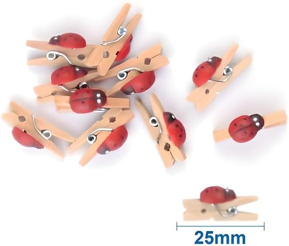 10 Pieces Wooden Clothespins 25mm for Laundry Drying