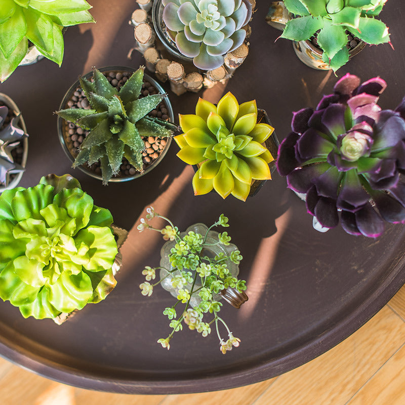 Eco-Friendly Artificial Succulent Terrarium - Low Maintenance Home Decor