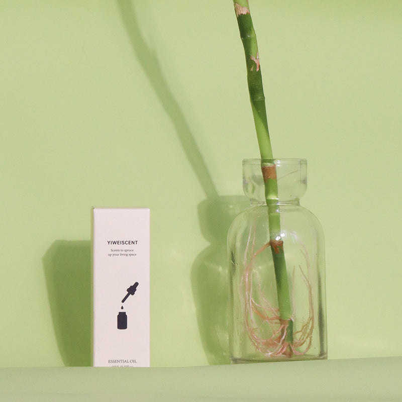Aromatherapy Essential Oil in Eco-Friendly Glass Bottle