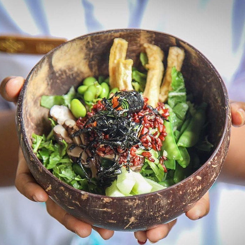 Eco-Friendly Coconut Shell Rice Bowls - Sustainable Biodegradable Dinnerware Set