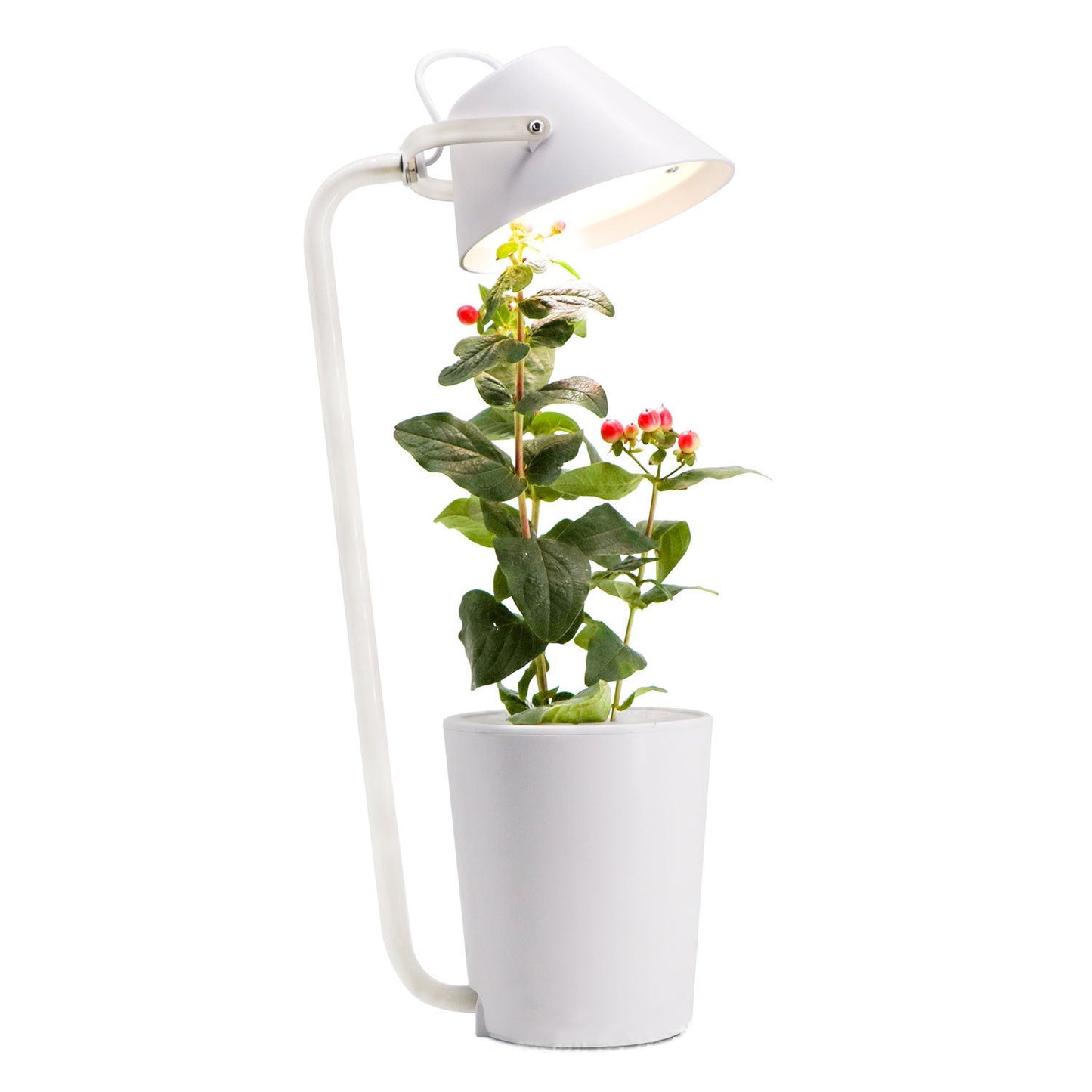 Adjustable LED Plant Light for Optimal Growth