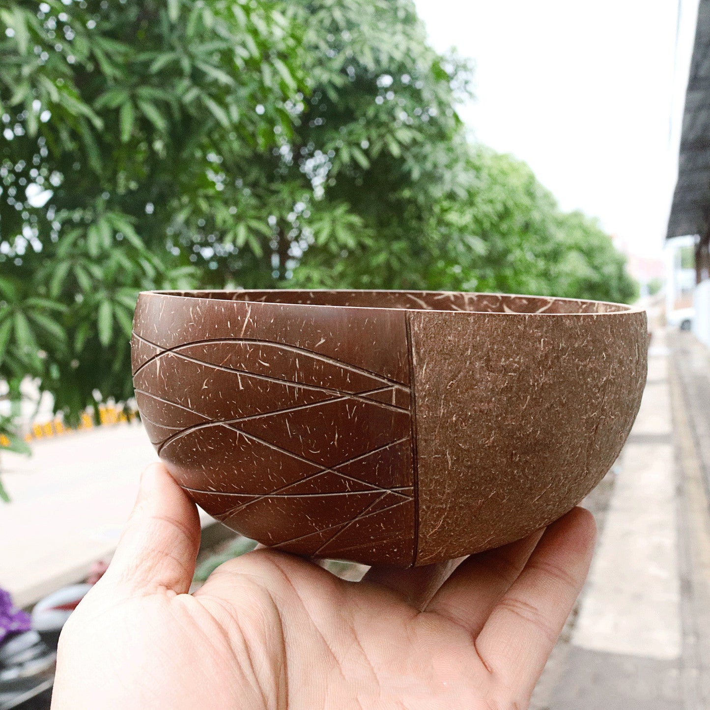 Eco-Friendly Coconut Shell Rice Bowls - Sustainable Biodegradable Dinnerware Set