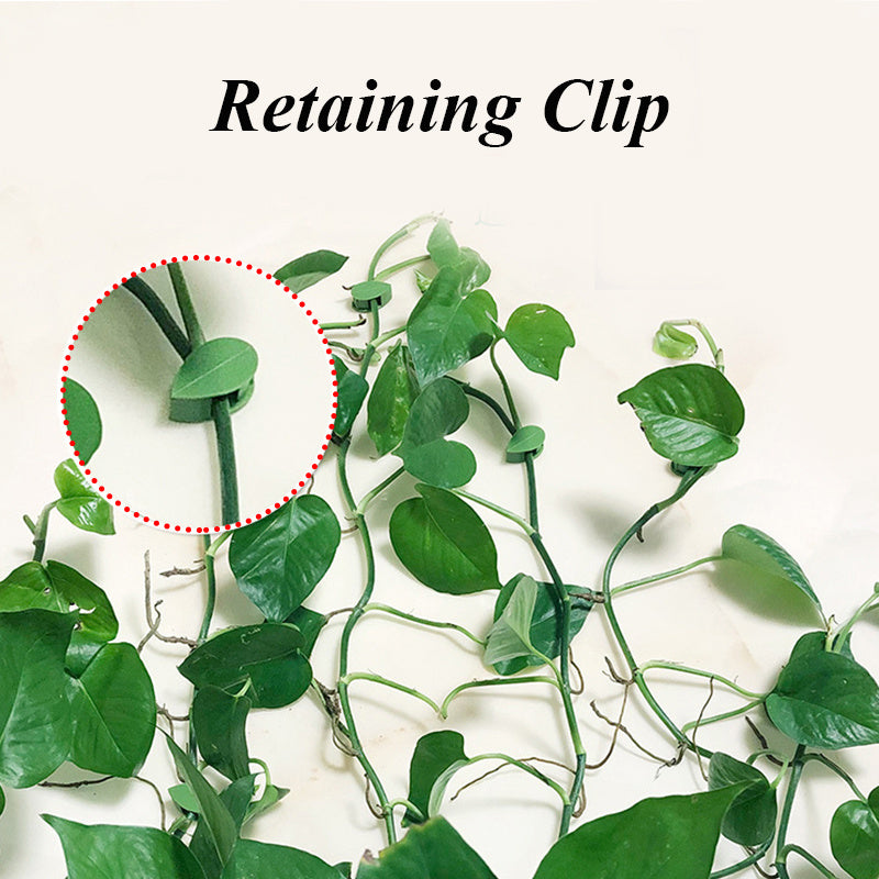 Leaf-Shaped Biodegradable Plant Support Clips - Eco-Friendly Garden Solution
