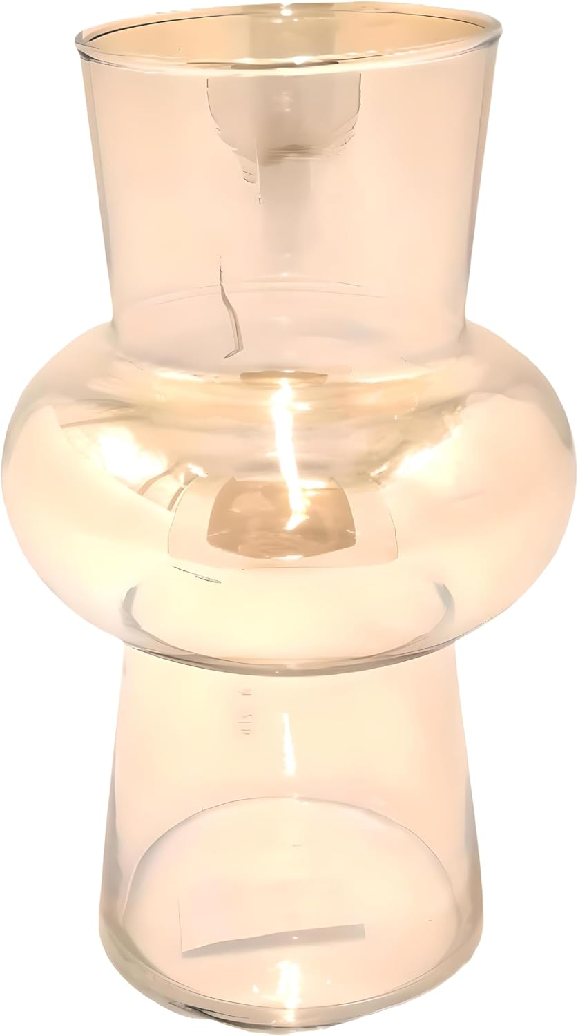 Elegant Transparent Glass Flower Vase 8x20.5cm – Clear Decorative Home Centerpiece