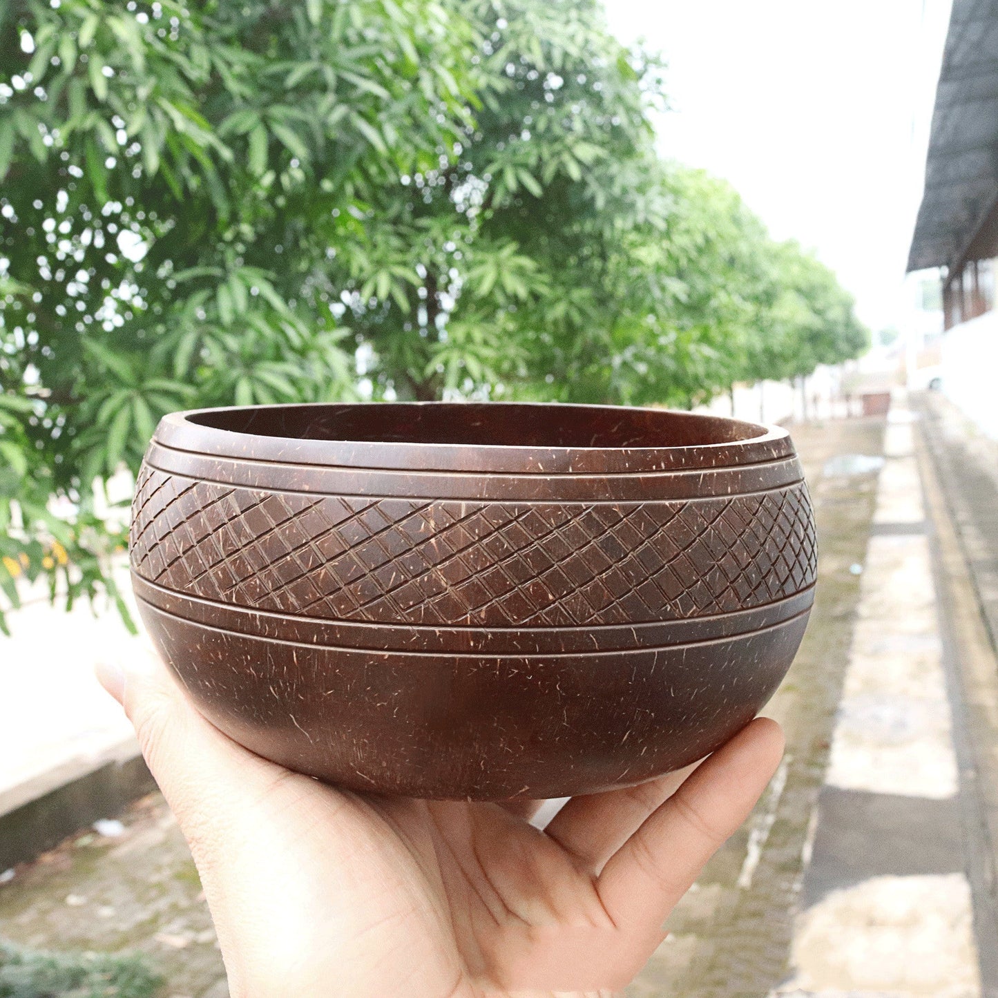 Eco-Friendly Coconut Shell Rice Bowls - Sustainable Biodegradable Dinnerware Set