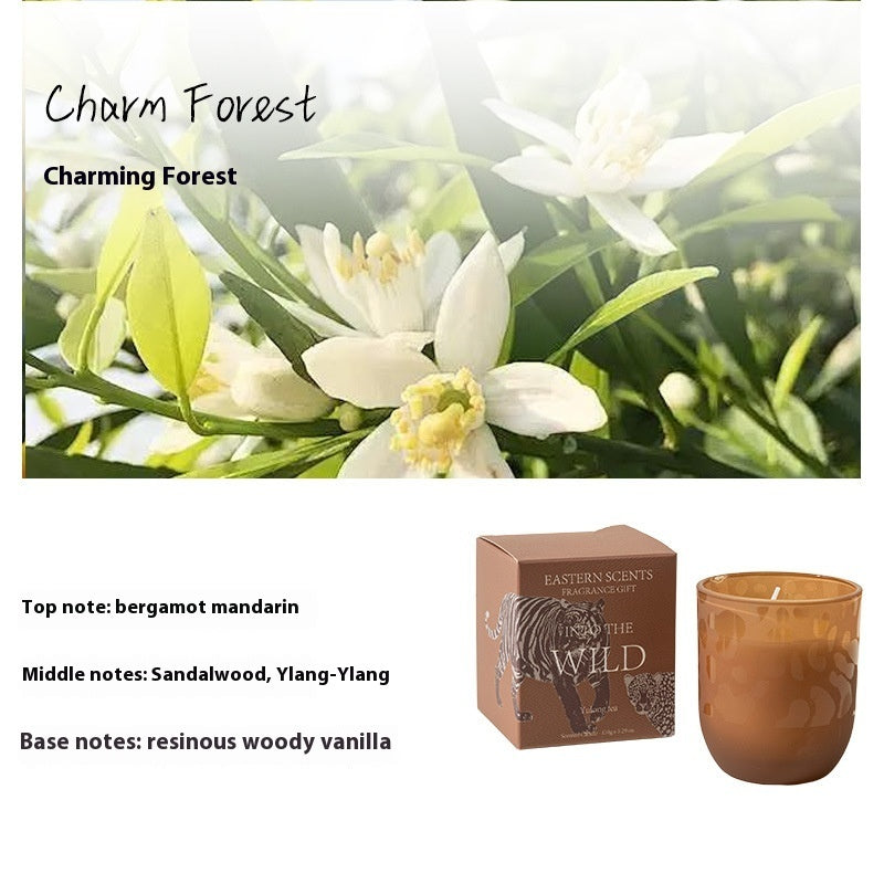 Eco-Friendly Aromatherapy Scented Candles in Reusable Glass