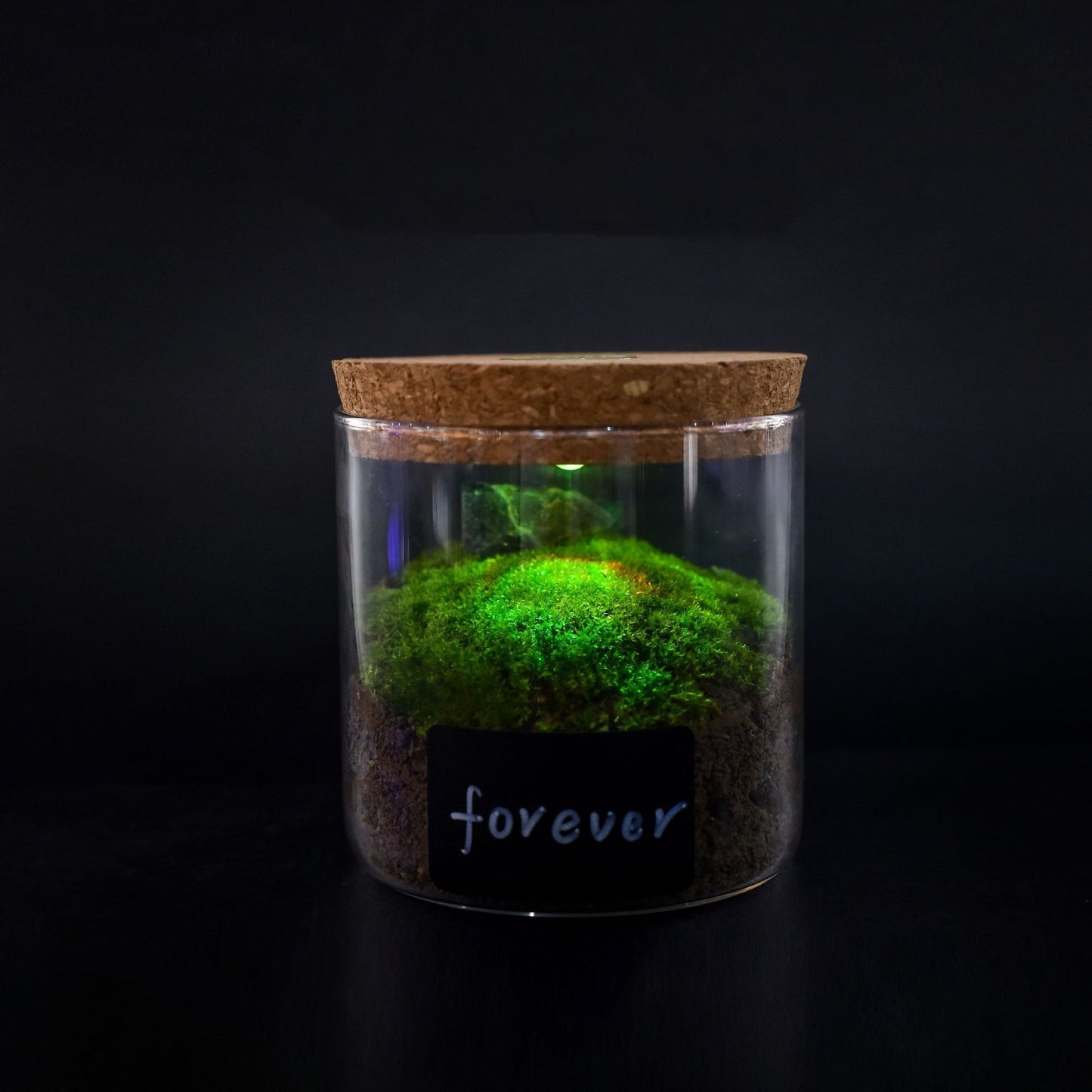 Eco-Friendly Glass Containers with Cork Lids for Sustainable Living