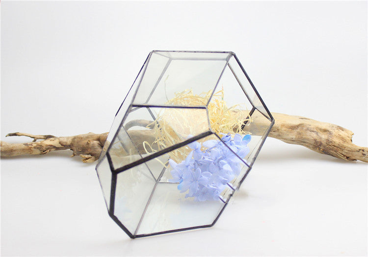 Eco-Friendly Geometric Glass Terrarium for Stylish Home Decor