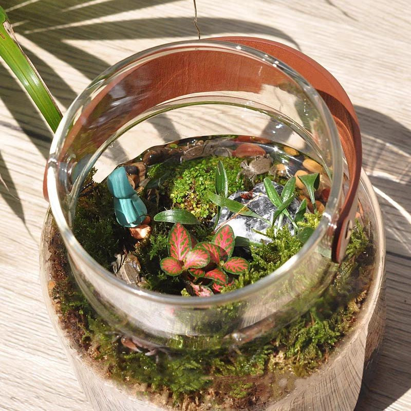 Eco-Friendly Glass Terrarium for Indoor Greenery and Air Quality