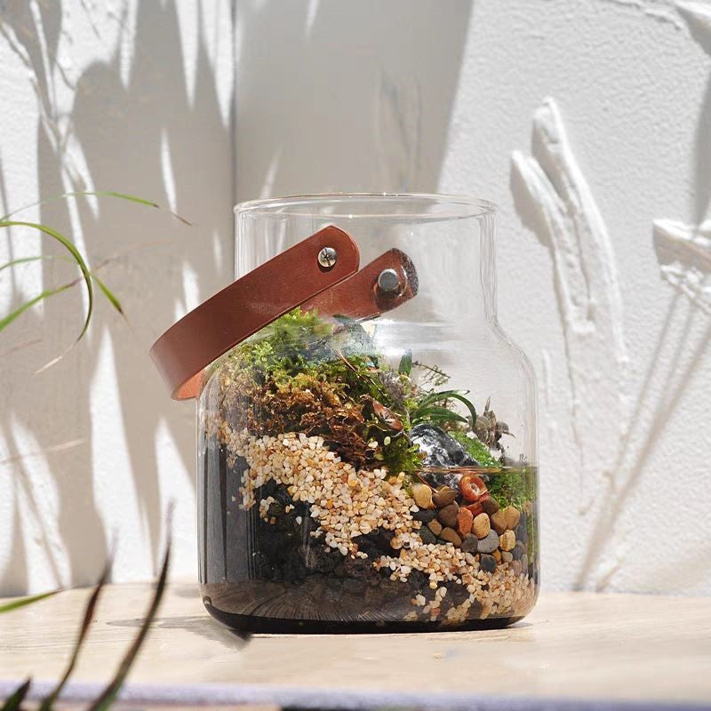 Eco-Friendly Glass Terrarium for Indoor Greenery and Air Quality