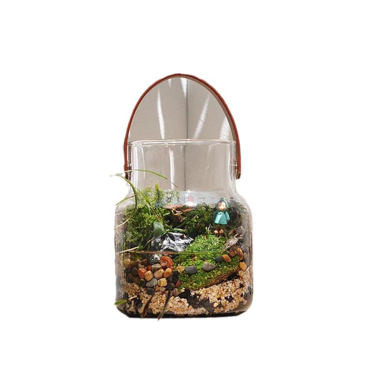 Eco-Friendly Glass Terrarium for Indoor Greenery and Air Quality