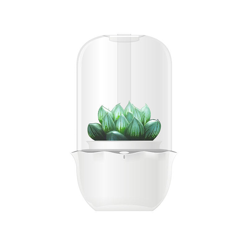 Dome-Shaped Terrarium for Indoor Plant Growth