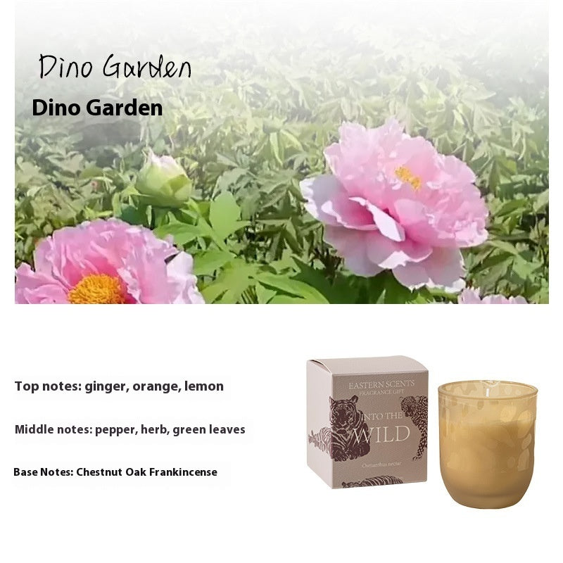 Eco-Friendly Aromatherapy Scented Candles in Reusable Glass