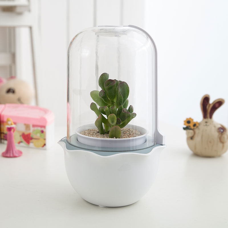 Dome-Shaped Terrarium for Indoor Plant Growth
