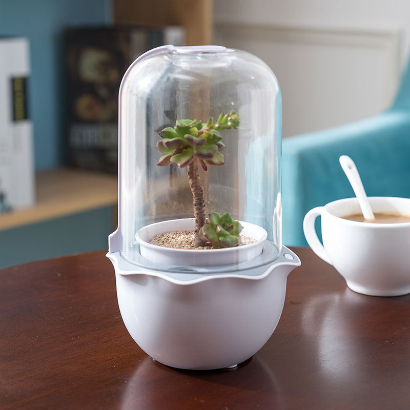 Dome-Shaped Terrarium for Indoor Plant Growth
