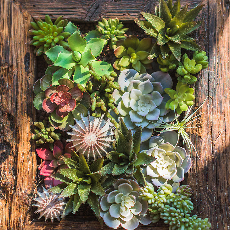 Eco-Friendly Artificial Succulent Terrarium - Low Maintenance Home Decor
