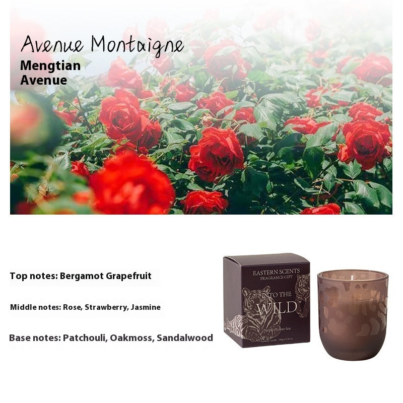 Eco-Friendly Aromatherapy Scented Candles in Reusable Glass