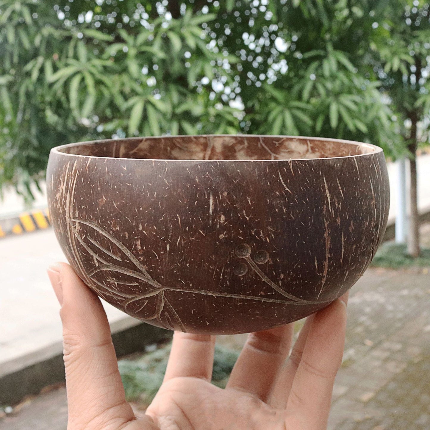 Eco-Friendly Coconut Shell Rice Bowls - Sustainable Biodegradable Dinnerware Set