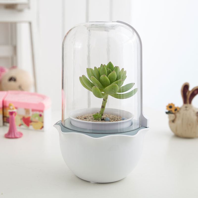 Dome-Shaped Terrarium for Indoor Plant Growth