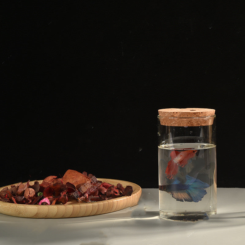 Eco-Friendly Glass Containers with Cork Lids for Sustainable Living
