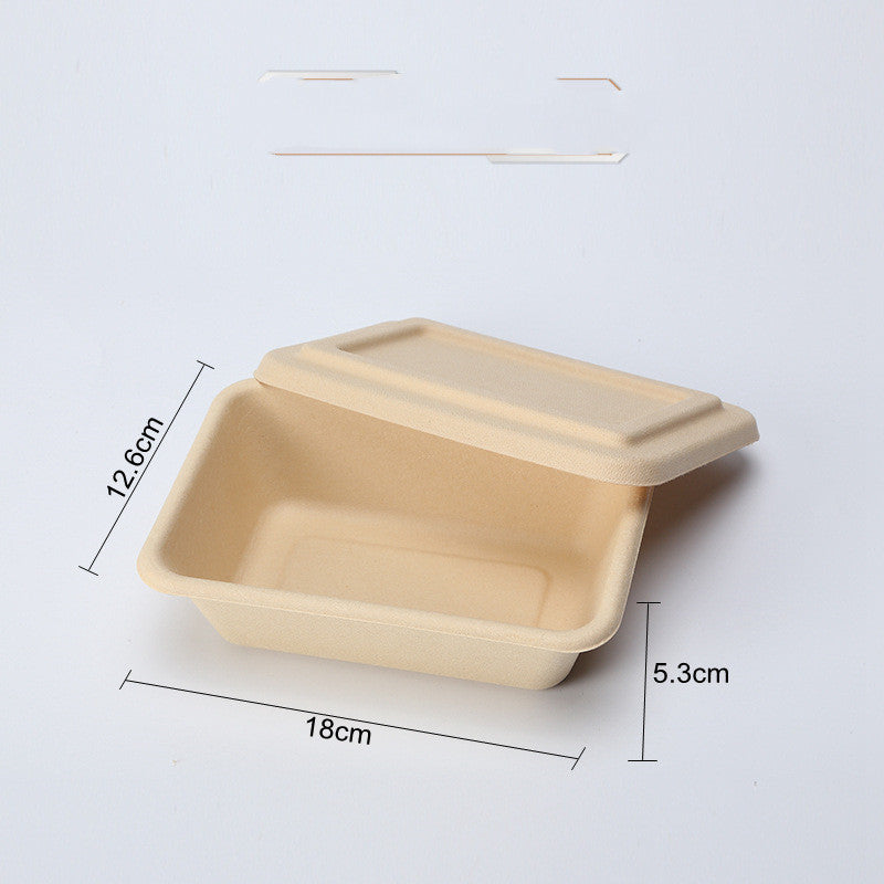 Eco-Friendly Biodegradable Soap Dishes - Beige Rectangular & Oval