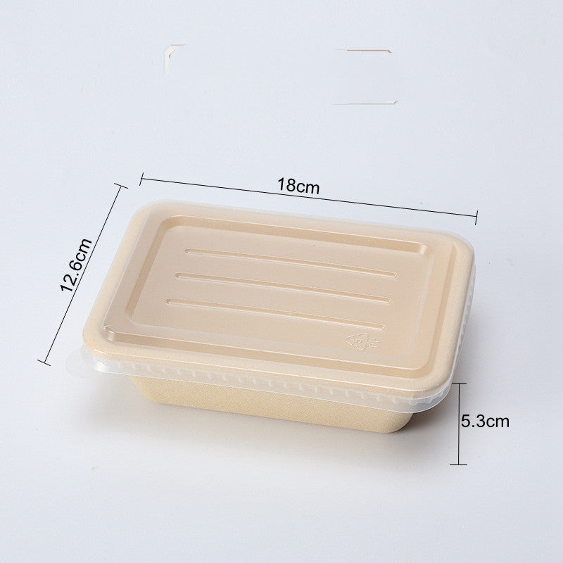 Eco-Friendly Biodegradable Soap Dishes - Beige Rectangular & Oval