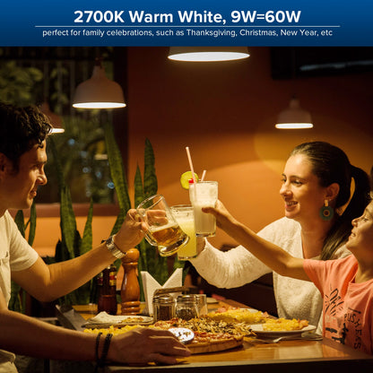 Energy-Efficient LED Light Bulbs - Long-Lasting A19 White Bulbs Set
