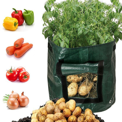 Eco-Friendly Reusable Grow Bag for Urban Gardening