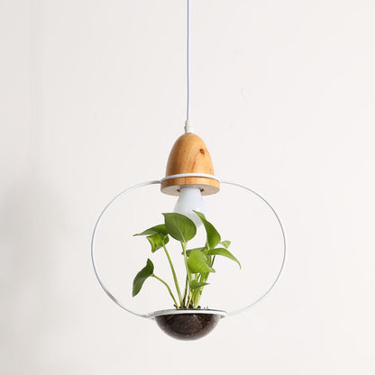Teardrop Hanging Light Fixture with Integrated Planter - Black Frame, Wooden Accent