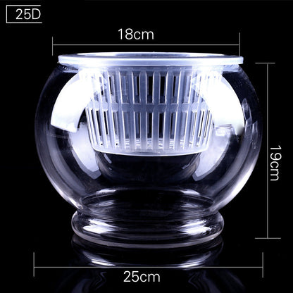 Hydroponic Plant Vase - Clear Round Glass for Soil-Free Indoor Gardening