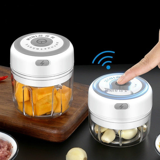 Compact Rechargeable Electric Mini Food Chopper in White and Transparent