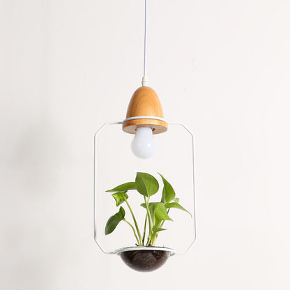 Teardrop Hanging Light Fixture with Integrated Planter - Black Frame, Wooden Accent