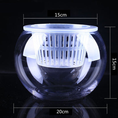Hydroponic Plant Vase - Clear Round Glass for Soil-Free Indoor Gardening
