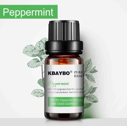 Natural Aromatherapy Essential Oils Set - Eco-Friendly Glass Bottles