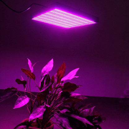 Medium-sized square LED grow light with black frame and purple light emission