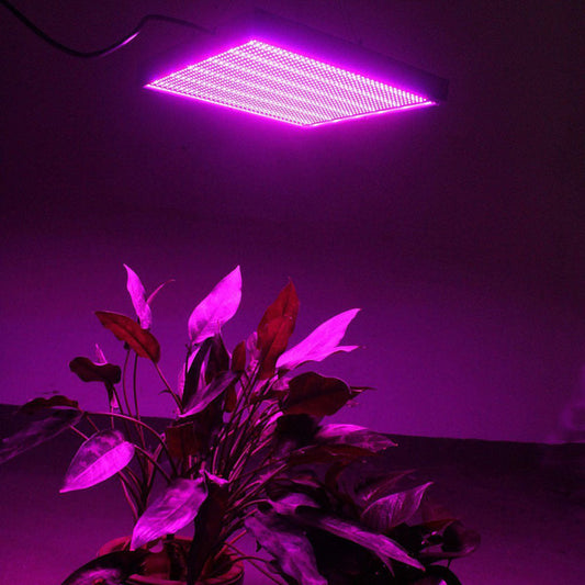 Medium-sized square LED grow light with black frame and purple light emission