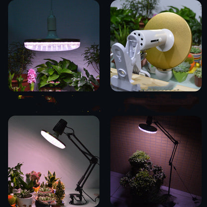 Energy-Efficient LED Planet Grow Light for Indoor Plants